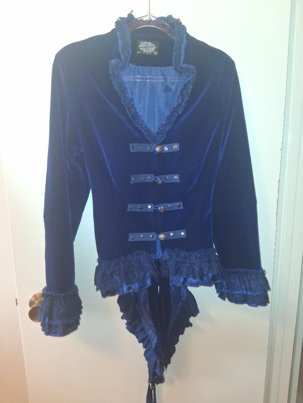 Blue Velvet Victorian Hearts & Roses Coat, 8